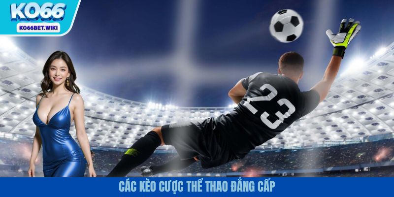 Cá cược thể thao với những kèo cược đa dạng, hấp dẫn