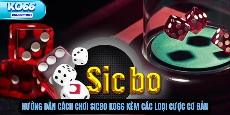 Hướng Dẫn Cách Chơi Sicbo Ko66 Kèm Các Loại Cược Cơ Bản