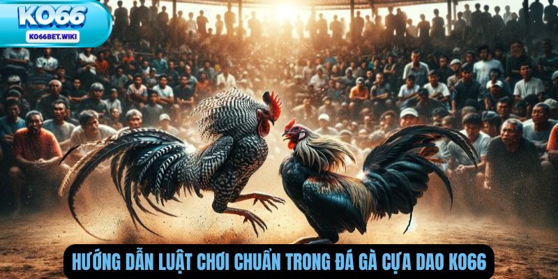 Hướng Dẫn Luật Chơi Chuẩn Trong Đá Gà Cựa Dao Ko66