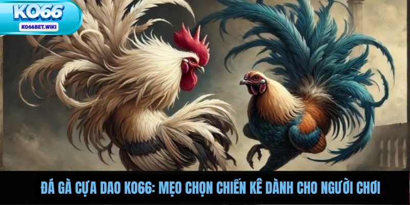Đá Gà Cựa Dao Ko66: Mẹo Chọn Chiến Kê Dành Cho Người Chơi