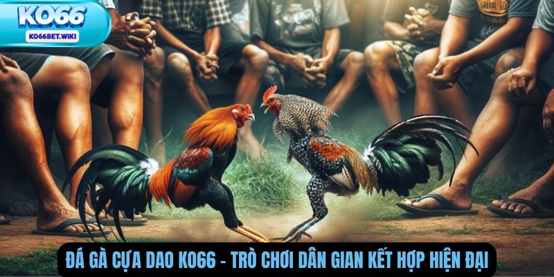 Đá Gà Cựa Dao Ko66 – Trò Chơi Dân Gian Kết Hợp Hiện Đại